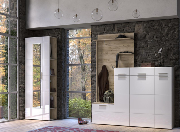 Модульная прихожая Лайн