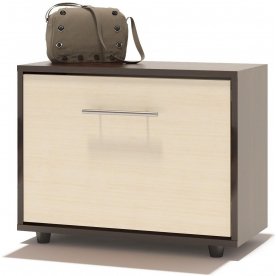 Модульная прихожая ТП-1 + ВШ-5.1