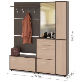 Модульная прихожая ВШ-3.1 + ТП-3 + ТП-4 + ПЗ-4