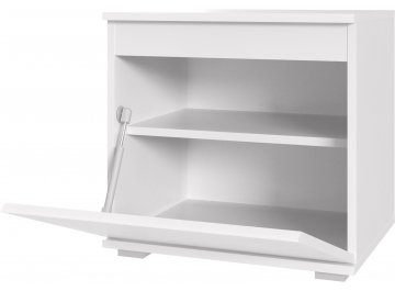 Обувница Шторм ПТ-50