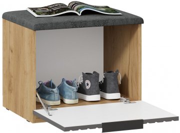 Тумба для обуви Хилтон 550 исполнение2.1 дуб крафт золотой / графит матовый