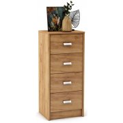 дуб золотистый