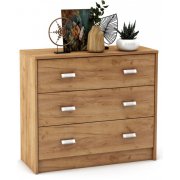 дуб золотистый