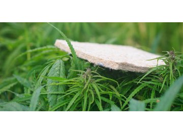Матрас Indica L