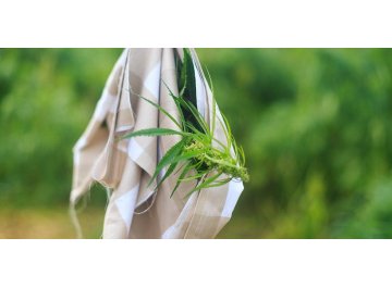 Матрас Sativa