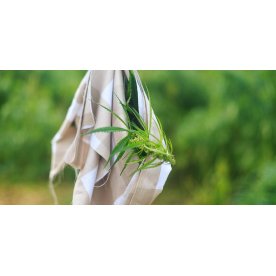 Матрас Sativa