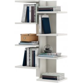 Полка Кевин