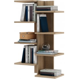 Полка Кевин