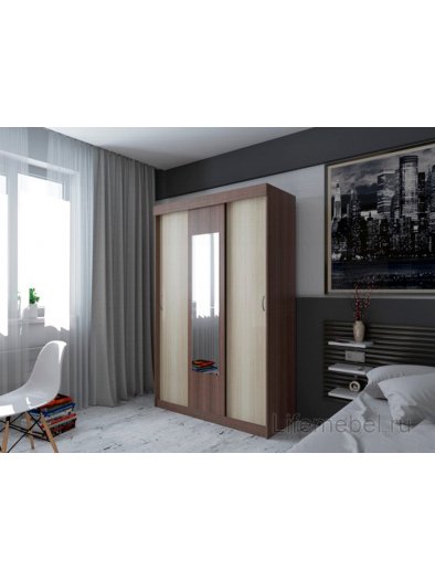 Шкаф-купе Бася ясень