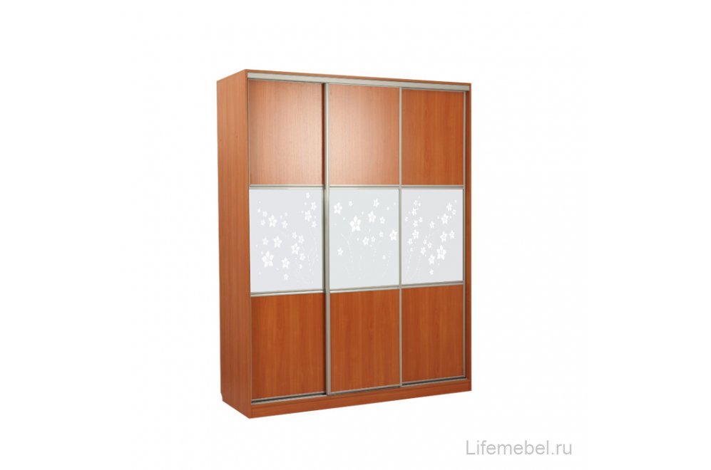 Шкаф-купе серии Бассо