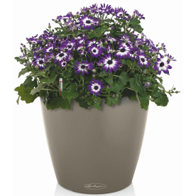 Кашпо Классико Колор 18 13264