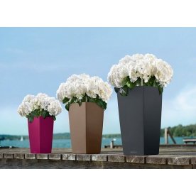 Кашпо Lechuza 13161 CUBICO Color 22