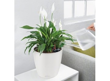 Кашпо Lechuza 13170 CLASSICO Color 21