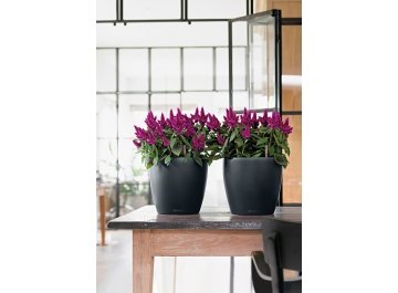 Кашпо Lechuza 13183 CLASSICO Color 21