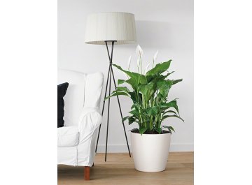 Кашпо Lechuza 13224 CLASSICO Color 35