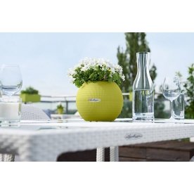 Кашпо Lechuza 13360 LECHUZA-PURO Color 20