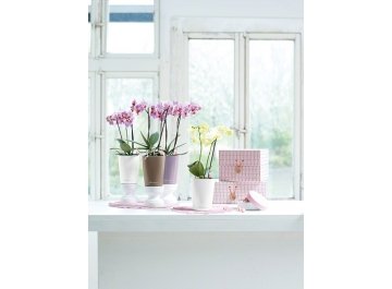 Кашпо Lechuza 14959 MINI-DELTINI