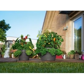 Кашпо Lechuza 14995 CASCADINO Color