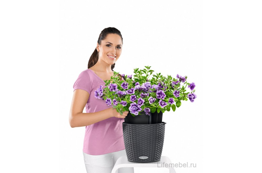 Кашпо Lechuza 15190 NIDO Cottage Белый