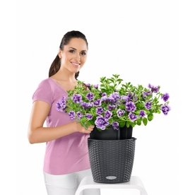 Кашпо Lechuza 15195 NIDO Cottage