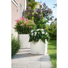 Кашпо Lechuza 15385 CUBE Cottage 40