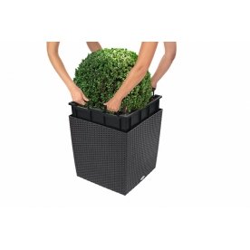 Кашпо Lechuza 15395 CUBE Cottage 50