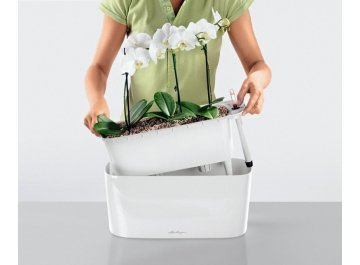 Кашпо Lechuza 15566 DELTA 20