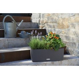 Кашпо Lechuza 15602 BALCONERA Cottage 50