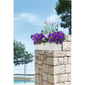 Кашпо Lechuza 15610 BALCONERA Cottage 80