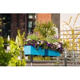 Кашпо Lechuza 15670 BALCONERA Color 50