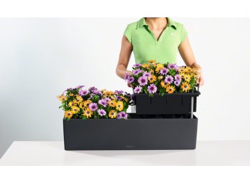 Кашпо Lechuza 15680 BALCONERA Color 80