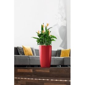 Кашпо Lechuza 15783 RONDO 32