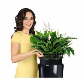 Кашпо Lechuza 15797 RONDO 32