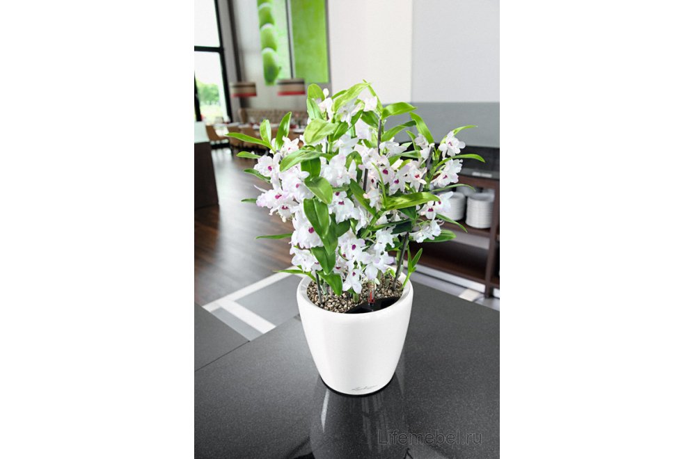 Кашпо Lechuza 16023 CLASSICO LS 21 Антрацитовый металлик