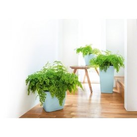 Кашпо Lechuza 16029 CLASSICO LS 21