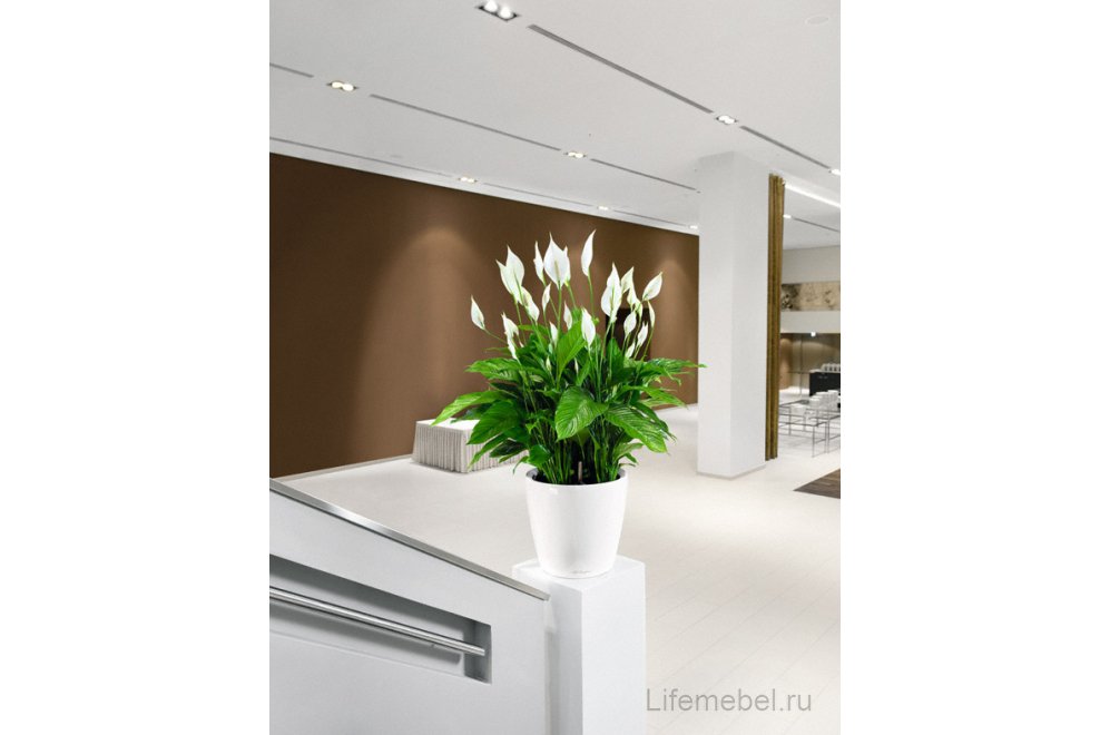 Кашпо Lechuza 16043 CLASSICO LS 28 Антрацитовый металлик