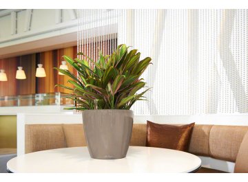 Кашпо Lechuza 16107 CLASSICO LS 50