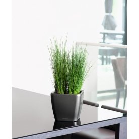 Кашпо Lechuza 16121 QUADRO LS 21