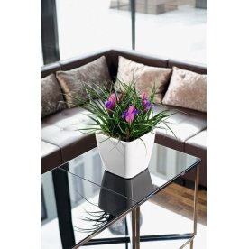 Кашпо Lechuza 16161 QUADRO LS 35