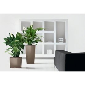 Кашпо Lechuza 16360 CUBE 40