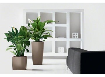 Кашпо Lechuza 16363 CUBE 40