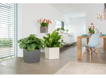 Кашпо Lechuza 16368 CUBE 40