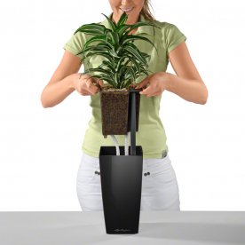 Кашпо Lechuza 18069 MAXI-CUBI