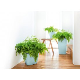 Кашпо Lechuza 18463 CUBICO 22