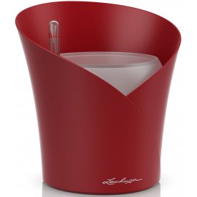 Кашпо Орхидея