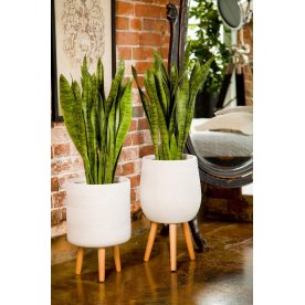 Кашпо Страйп Круглое с Подставкой S D24 H40 WSTRIP24-AW