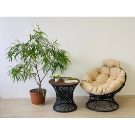 Деревянный стол Бонго макси