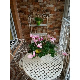 Складной стол Patio/Патио