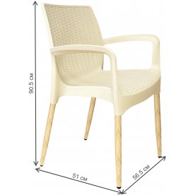 Пластиковый стул SHT-S68/S424-С