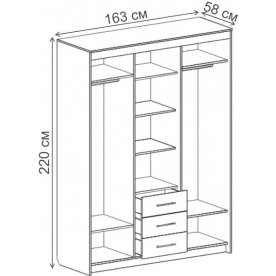 Шкаф-купе Шкаф-купе ШК-05